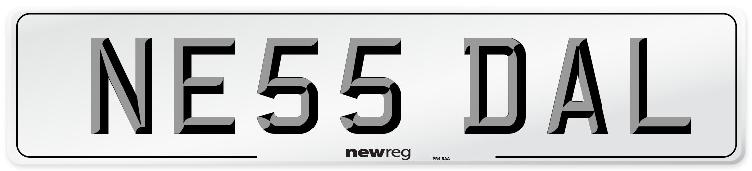 NE55 DAL Number Plate from New Reg